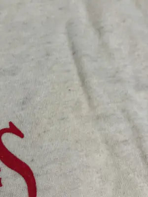 CHUMS/チャムス/Tシャツ/カットソー/トップス/ベージュ/M