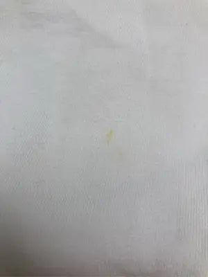 NCAA/パーカー/トップス/ホワイト/LL
