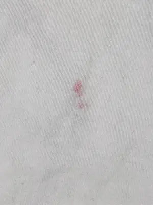 Tシャツ/カットソー/トップス/ホワイト/M