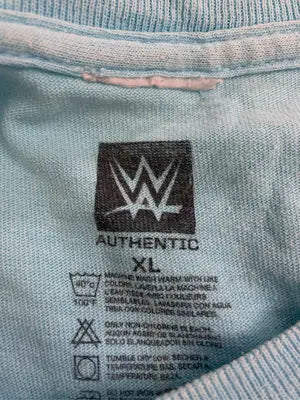 AUTHENTIC/オーセンティック/Tシャツ/カットソー/トップス/スカイブルー/XL