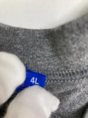 HIROKO KOSHINO/ヒロココシノ/Tシャツ/カットソー/トップス/グレー/4L
