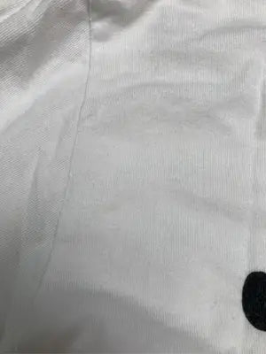 stussy/ステューシー/Tシャツ/カットソー/トップス/ホワイト/M