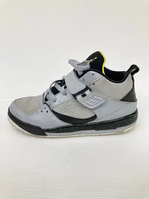 JORDAN/ジョーダン/スニーカー/シューズ/グレー/24.5cm