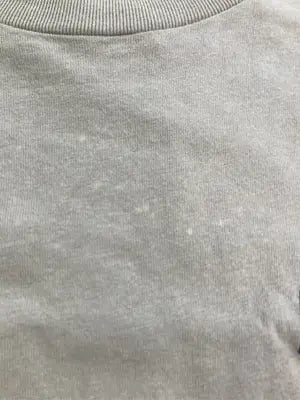 SANTA CRUZ/サンタクルーズ/Tシャツ/カットソー/トップス/カーキ/L