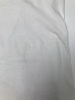 SIGNAL/シグナル/Tシャツ/カットソー/トップス/ホワイト/XL