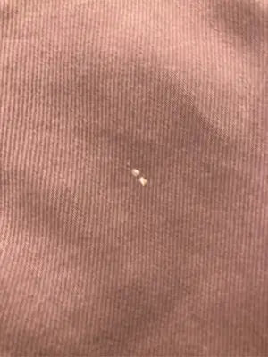 UNIQLO U/ユニクロユー/チノパンツ/パンツ/ブラウン/23(58.5cm)