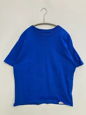 Champion/チャンピオン/Tシャツ/カットソー/トップス/ブルー/M
