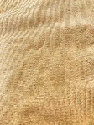 Coleman/コールマン/Tシャツ/カットソー/トップス/オレンジ/L