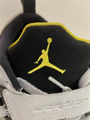 JORDAN/ジョーダン/スニーカー/シューズ/グレー/24.5cm
