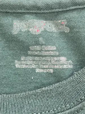 JANSPORT/ジャンスポーツ/Tシャツ/カットソー/トップス/グリーン/L