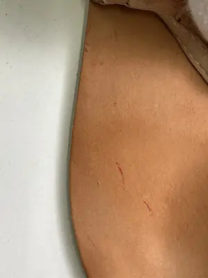 ZARA TRAFALUC/ザラトラファルック/サンダル/シューズ/ベージュ/37