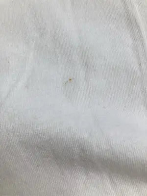 CARFIELD/カーフィールド/Tシャツ/カットソー/トップス/ホワイト/L  チェスト96～104