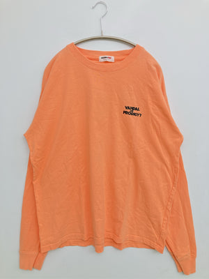 BRANDALISED/Tシャツ/カットソー/トップス/オレンジ/XL