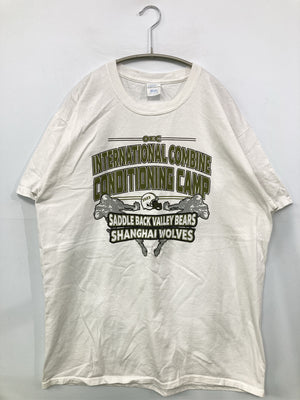 PORT&COMPANY/ポートアンドカンパニー/Tシャツ/カットソー/トップス/ホワイト/L
