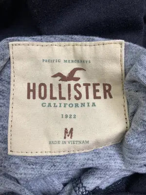 HOLLISTER/ホリスター/パーカー/トップス/グレー/M