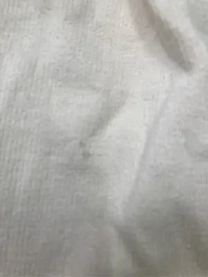 GUESS/ゲス/スウェット/トップス/アイボリー/M