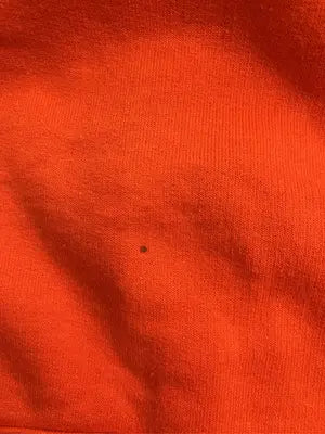 Champion/チャンピオン/パーカー/トップス/オレンジ/ASIA 2XL