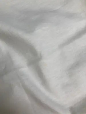 STING RAYS/Tシャツ/カットソー/トップス/ホワイト/M