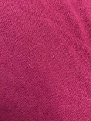 Sundog/Tシャツ/カットソー/トップス/レッド/X Grande