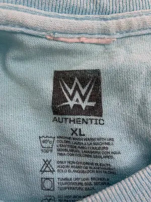 AUTHENTIC/オーセンティック/Tシャツ/カットソー/トップス/スカイブルー/XL