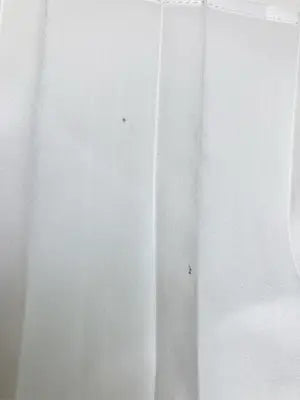 nema/シャツ/ブラウス/トップス/ホワイト/F