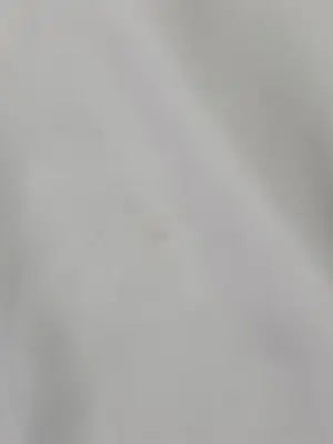 ZARA BASIC/ザラベーシック/シャツ/ブラウス/トップス/ホワイト/USA XL