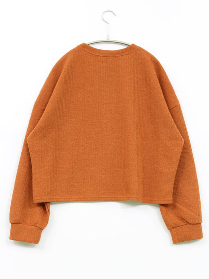 HOTPING/Tシャツ/カットソー/トップス/ブラウン/1