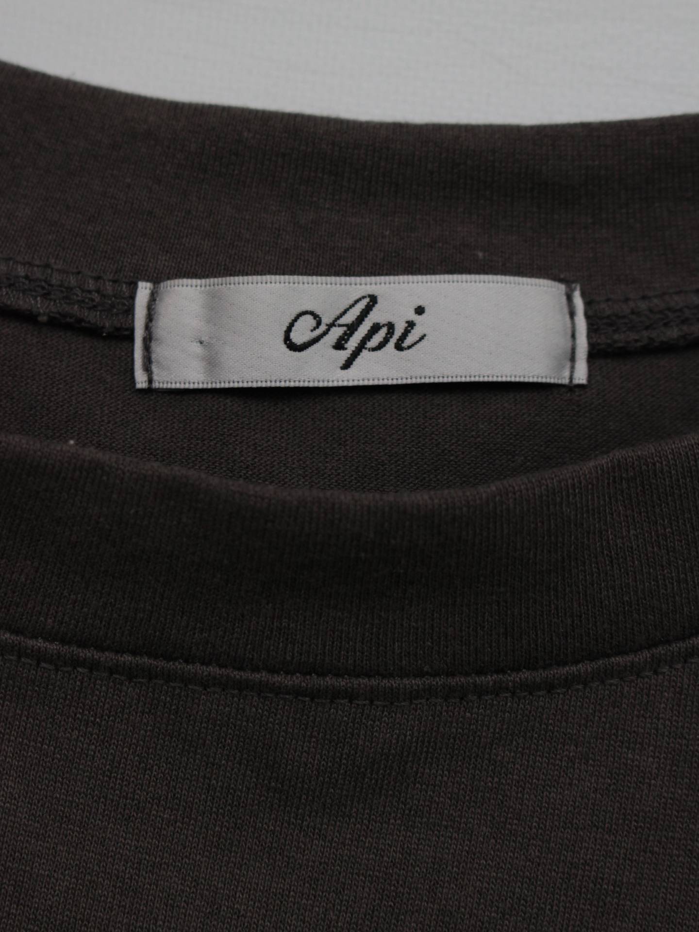 Api/Tシャツ/カットソー/トップス/ブラウン/L