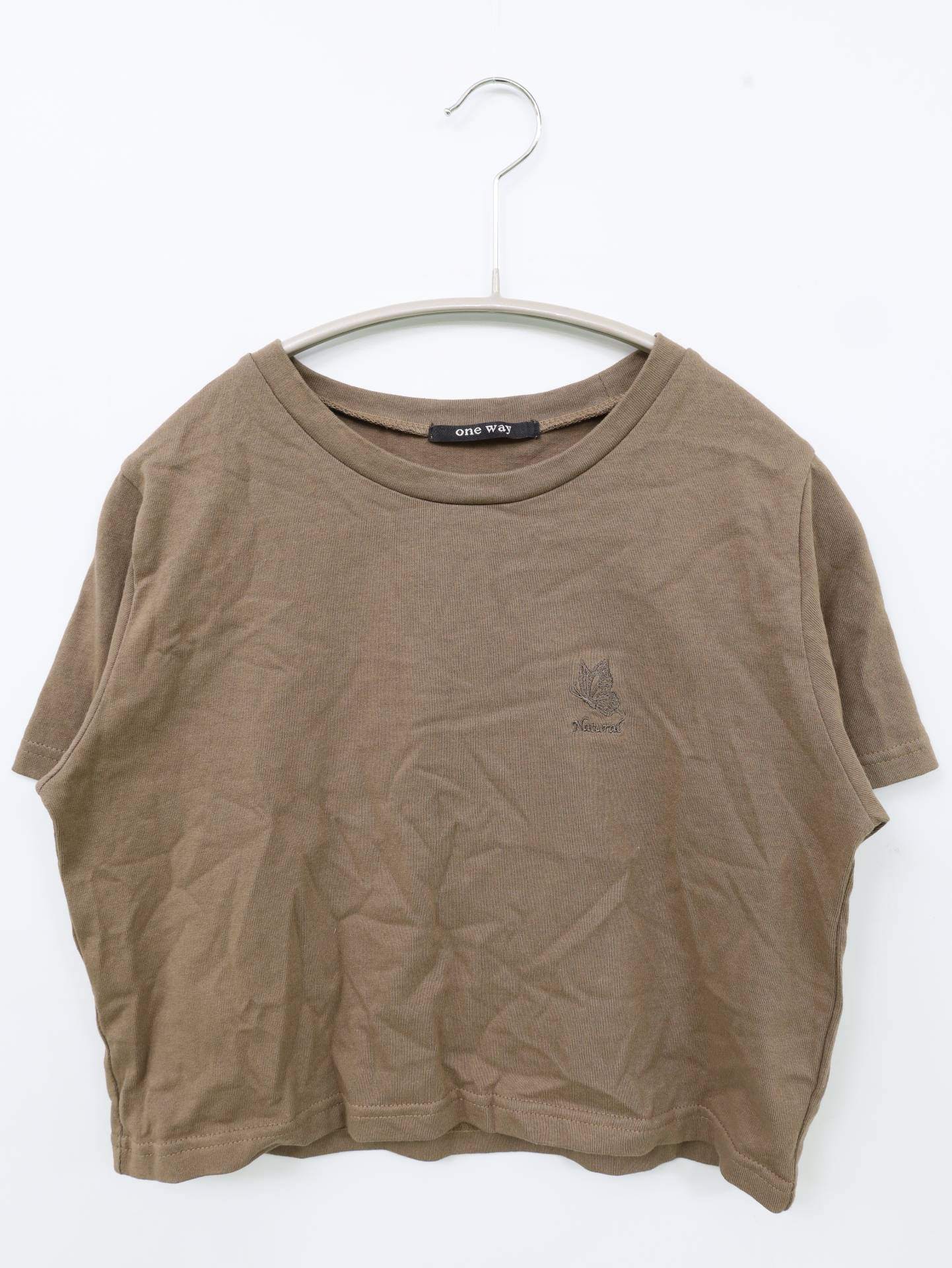 Tシャツ/カットソー/トップス/ブラウン/F
