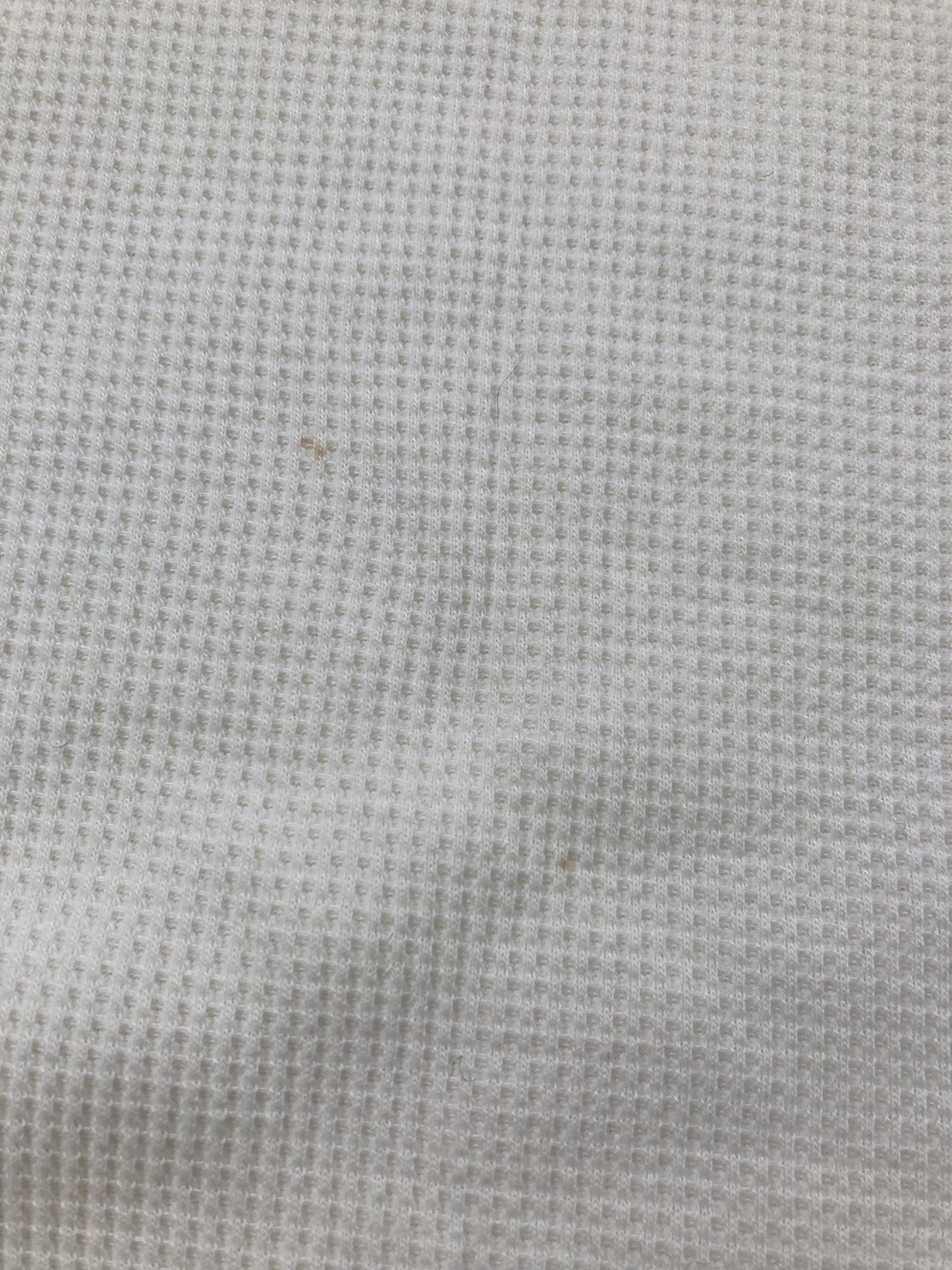 archives/アルシーヴ/その他トップス/トップス/ホワイト/F