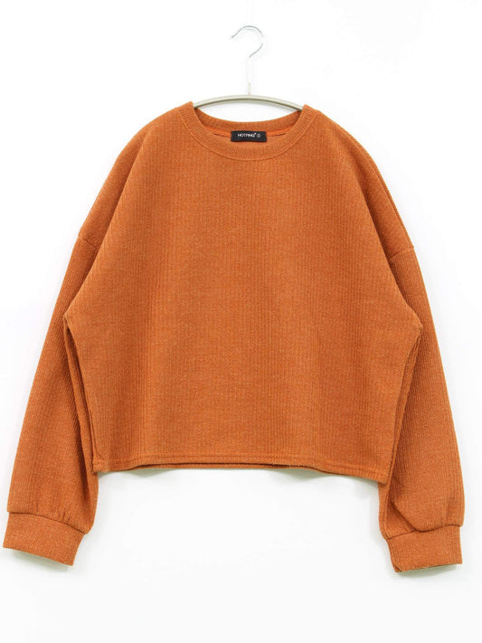 HOTPING/Tシャツ/カットソー/トップス/ブラウン/1