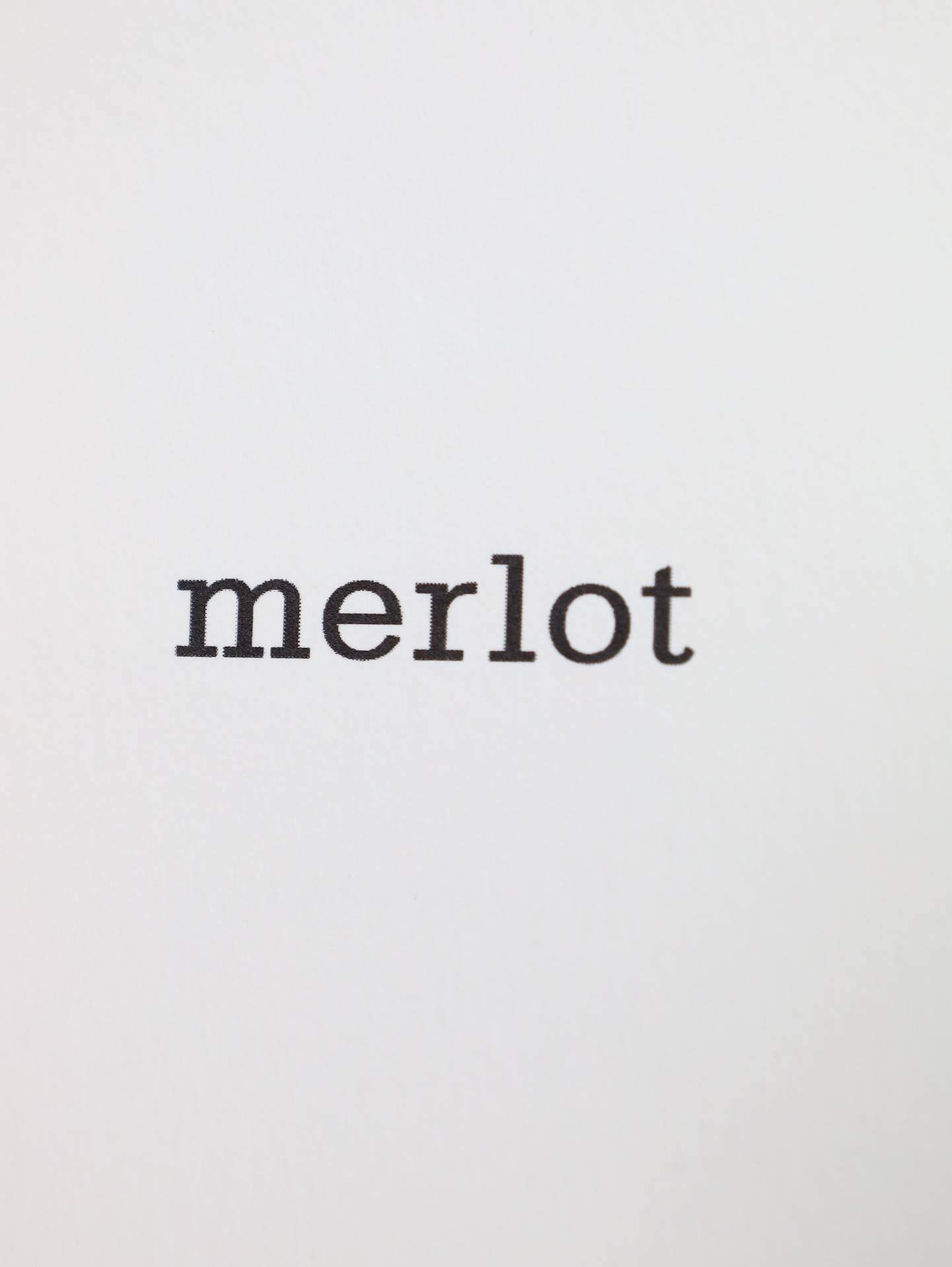 merlot/ロングスカート/スカート/ピンク/F