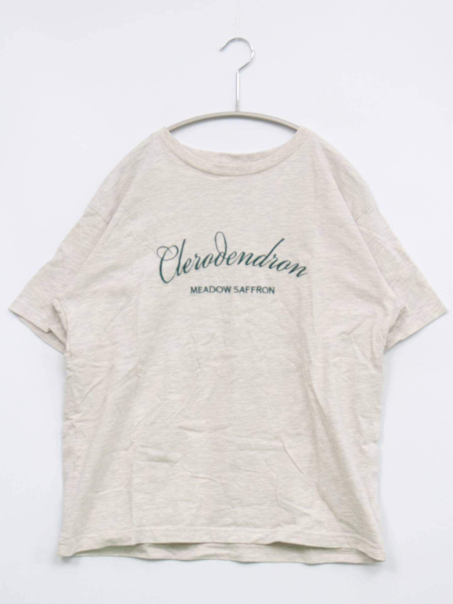 earth music&ecology/アースミュージックアンドエコロジー/Tシャツ/カットソー/トップス/ベージュ/F