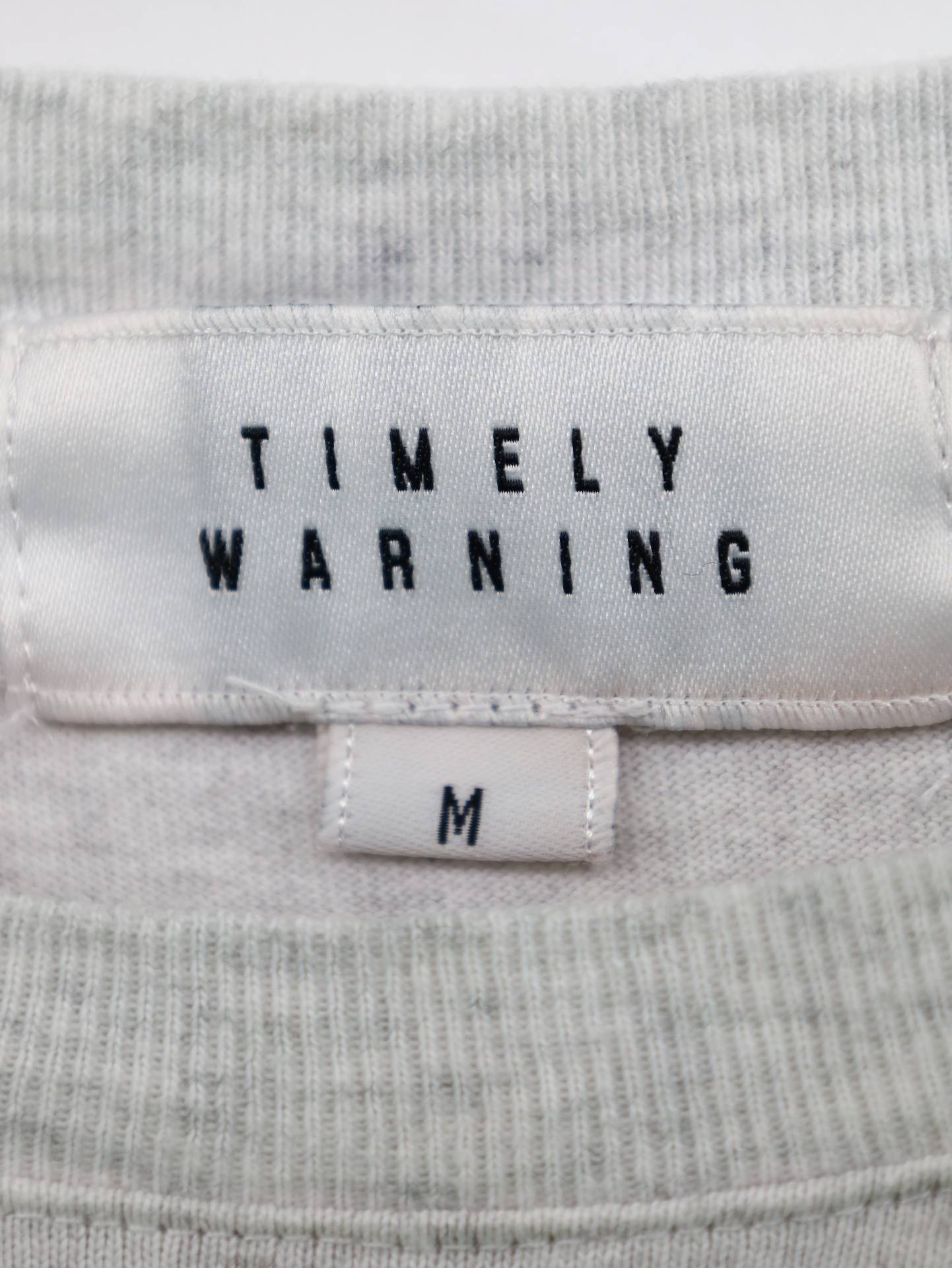 TIMELY WARNING/Tシャツ/カットソー/トップス/グレー/M