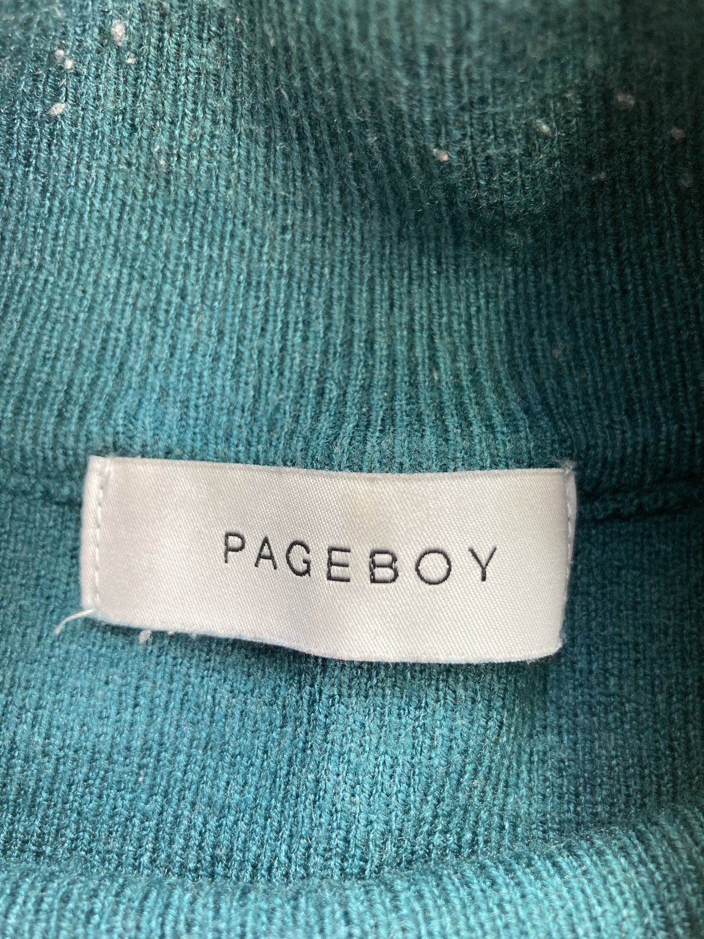 PAGEBOY/ペイジボーイ/ニット/セーター/トップス/グリーン/F