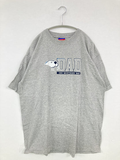 Champion/チャンピオン/Tシャツ/カットソー/トップス/グレー/XL
