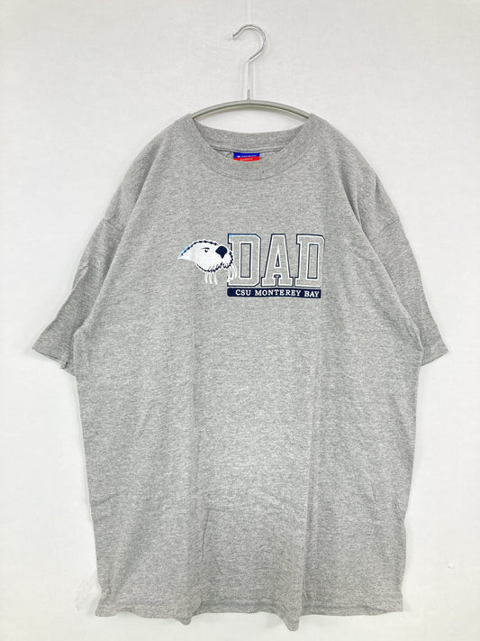 Champion/チャンピオン/Tシャツ/カットソー/トップス/グレー/XL