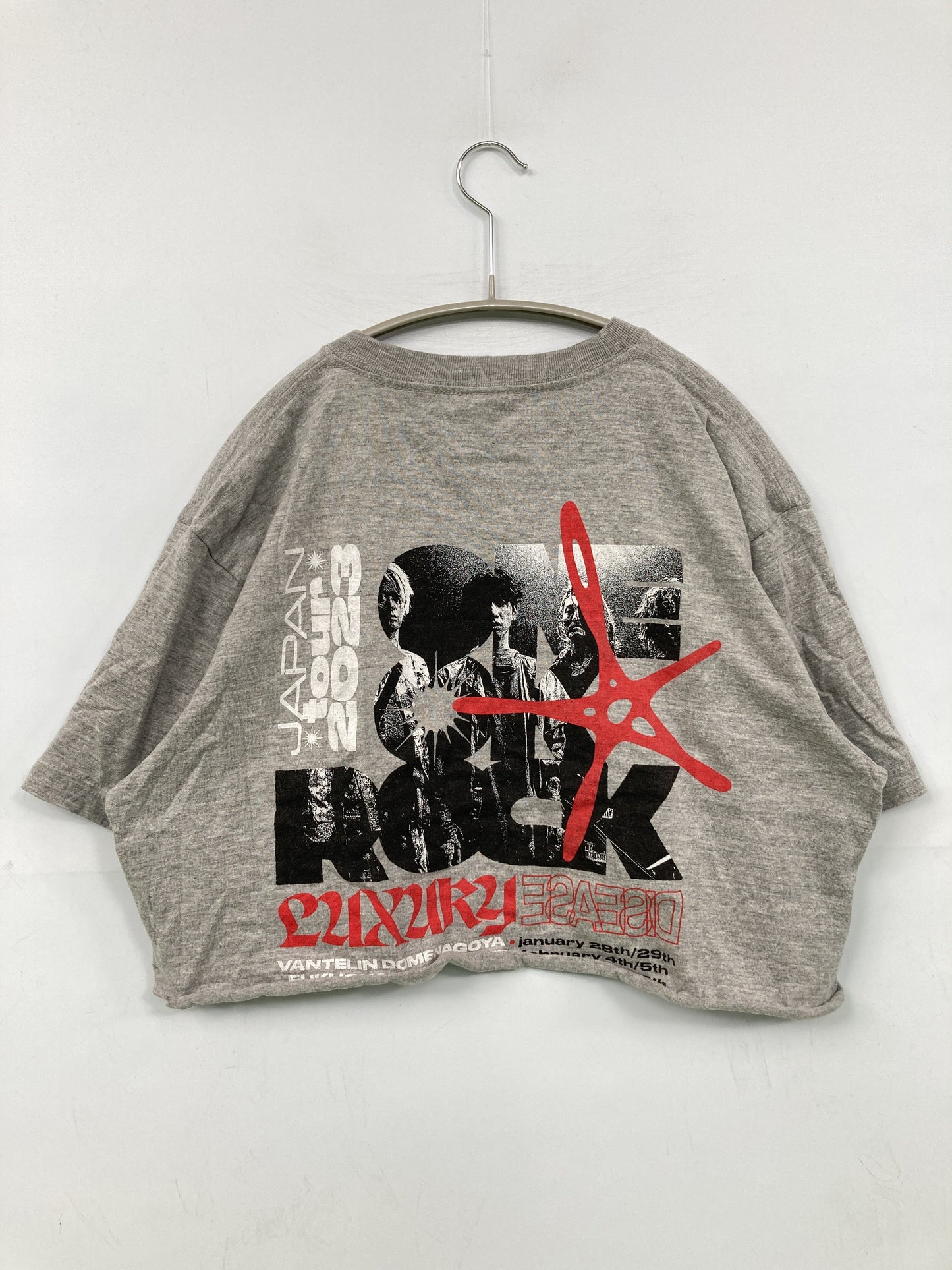 ONE OK ROCK/Tシャツ/カットソー/トップス/グレー/L