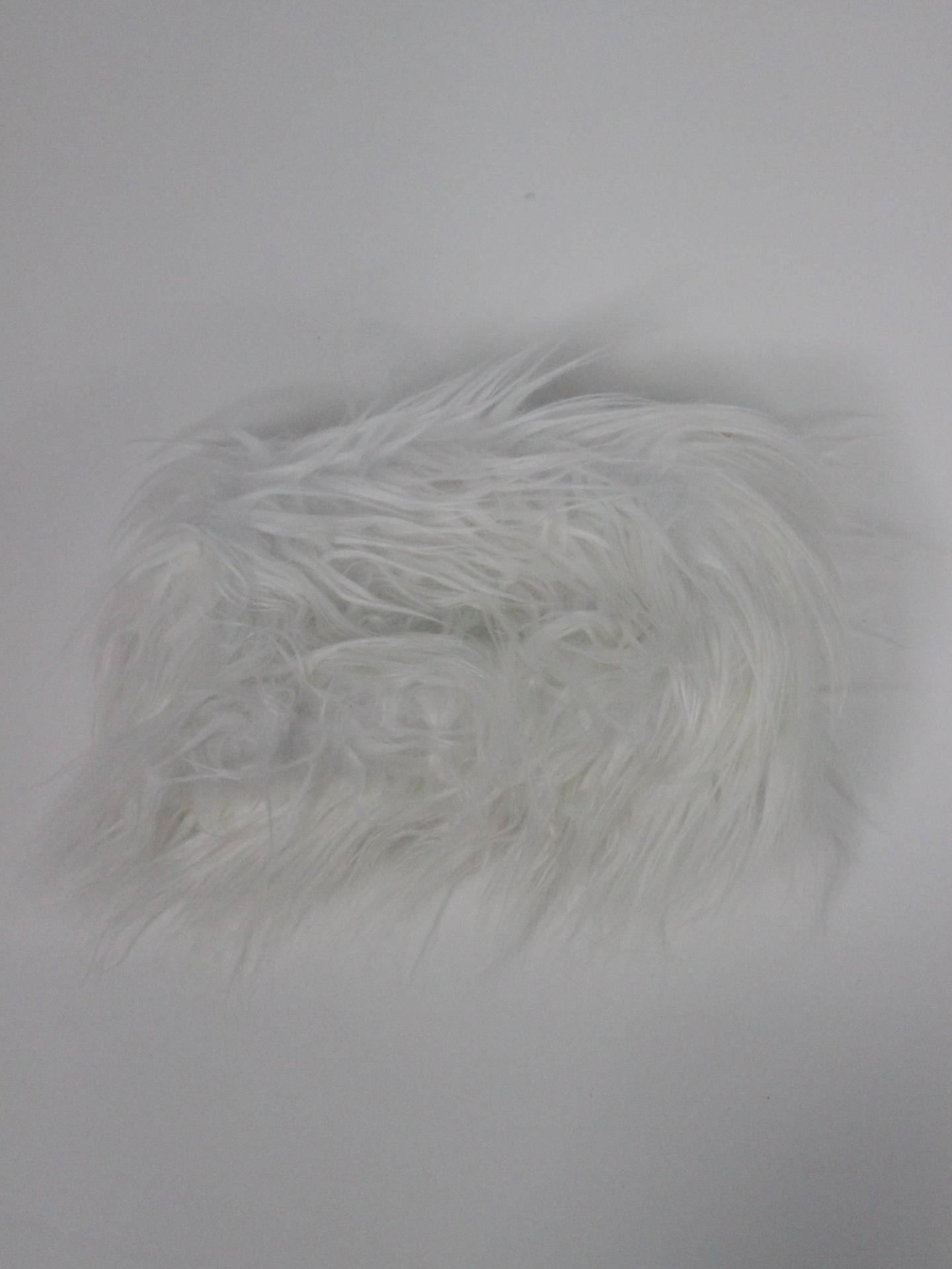 PRESTIGE APPAREL/ポーチ/財布/小物/ホワイト