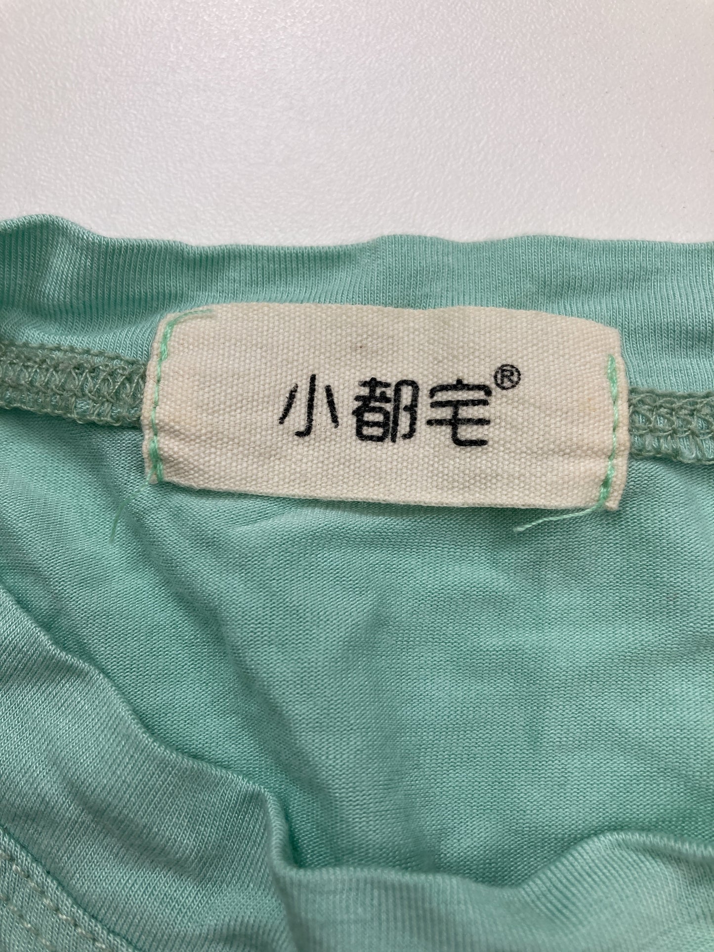 Tシャツ/カットソー/トップス/ライトグリーン