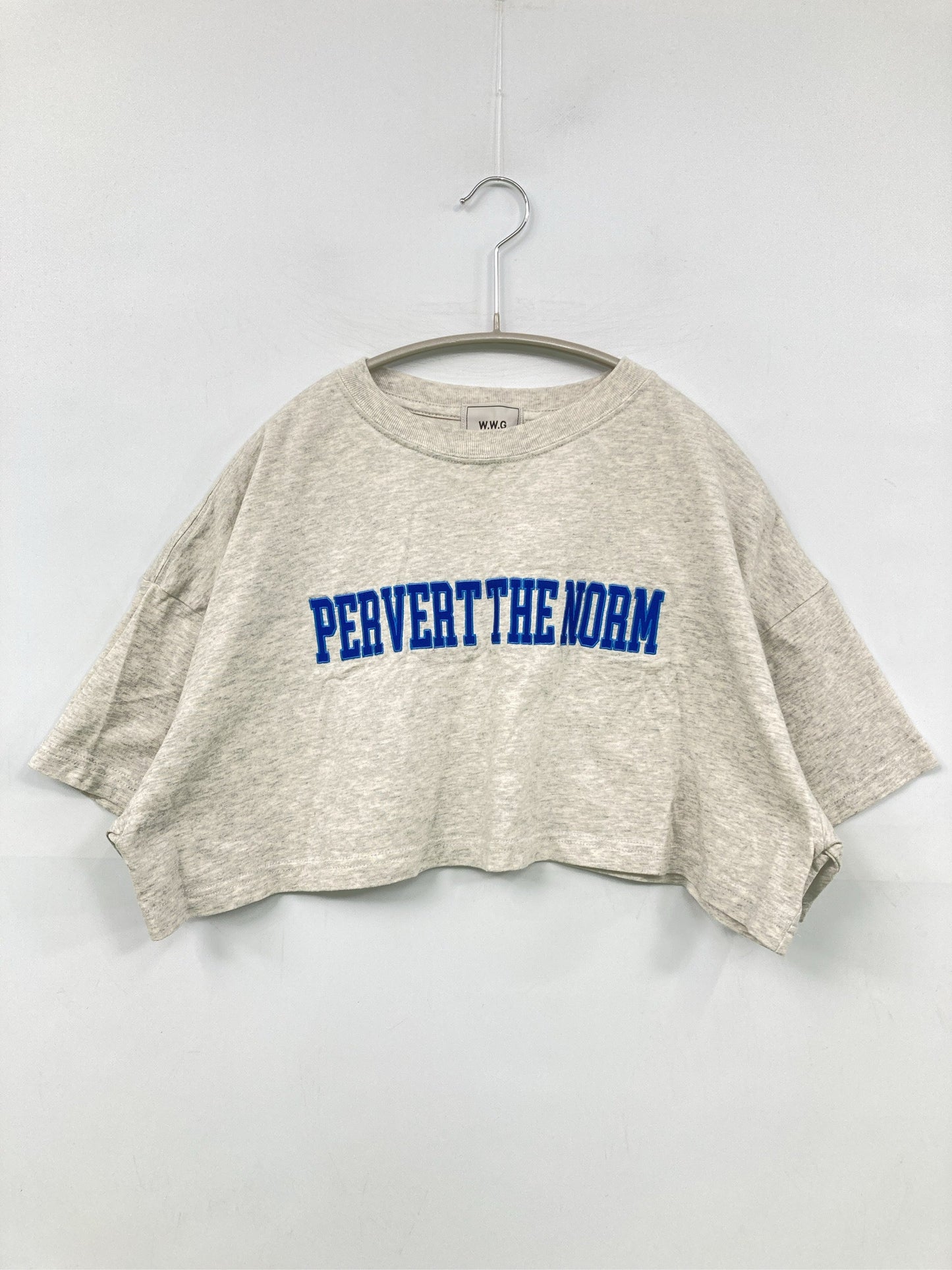 W.W.G/フーズフーギャラリー/Tシャツ/カットソー/トップス/グレー/F