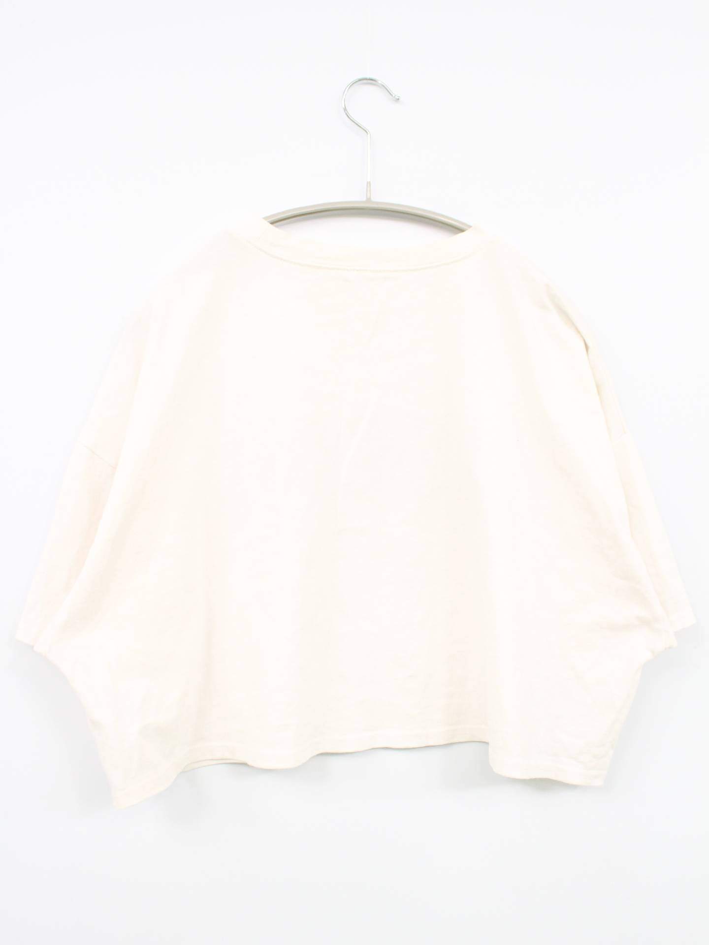 Tシャツ/カットソー/トップス/ホワイト/F