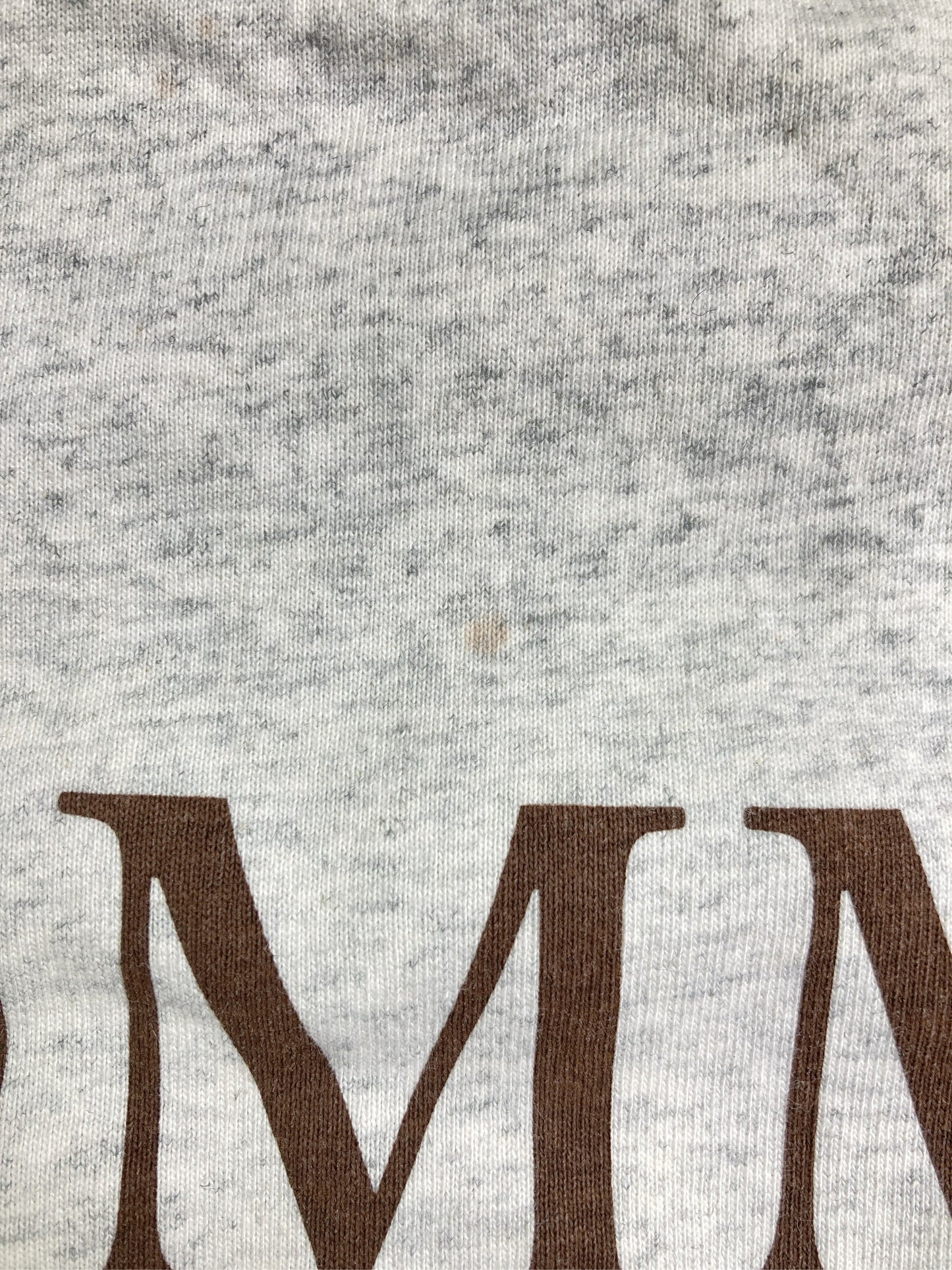 LOWRYS FARM/ローリーズファーム/Tシャツ/カットソー/トップス/グレー/F